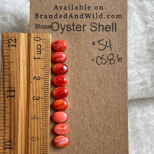 Oystershell Cabochon - OS86 B3F157FE-2862-4EFC-B7F9-1044AC89CA0D Brandedandwild.com
