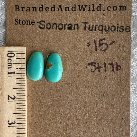 Sonoran Turquoise Cabochon - ST176