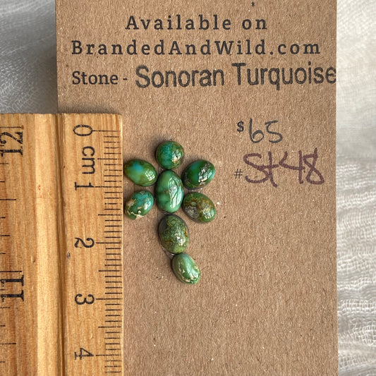 Sonoran Turquoise Cabochon - ST48