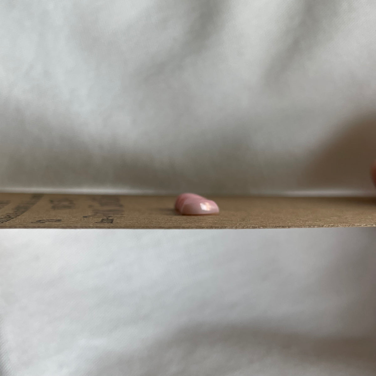Pink Conch Cabochon - PC54 B43AC91A-D518-4584-A47D-CCD8F5B83953 Brandedandwild.com