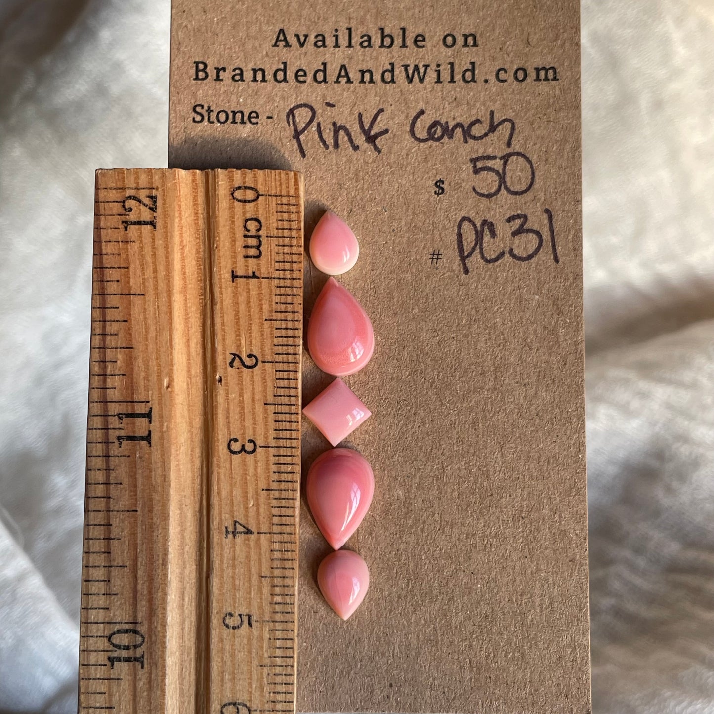 Pink Conch Cabochon - PC31 B44BC05A-BAC2-419D-B659-EEE45F6D2DBE Brandedandwild.com
