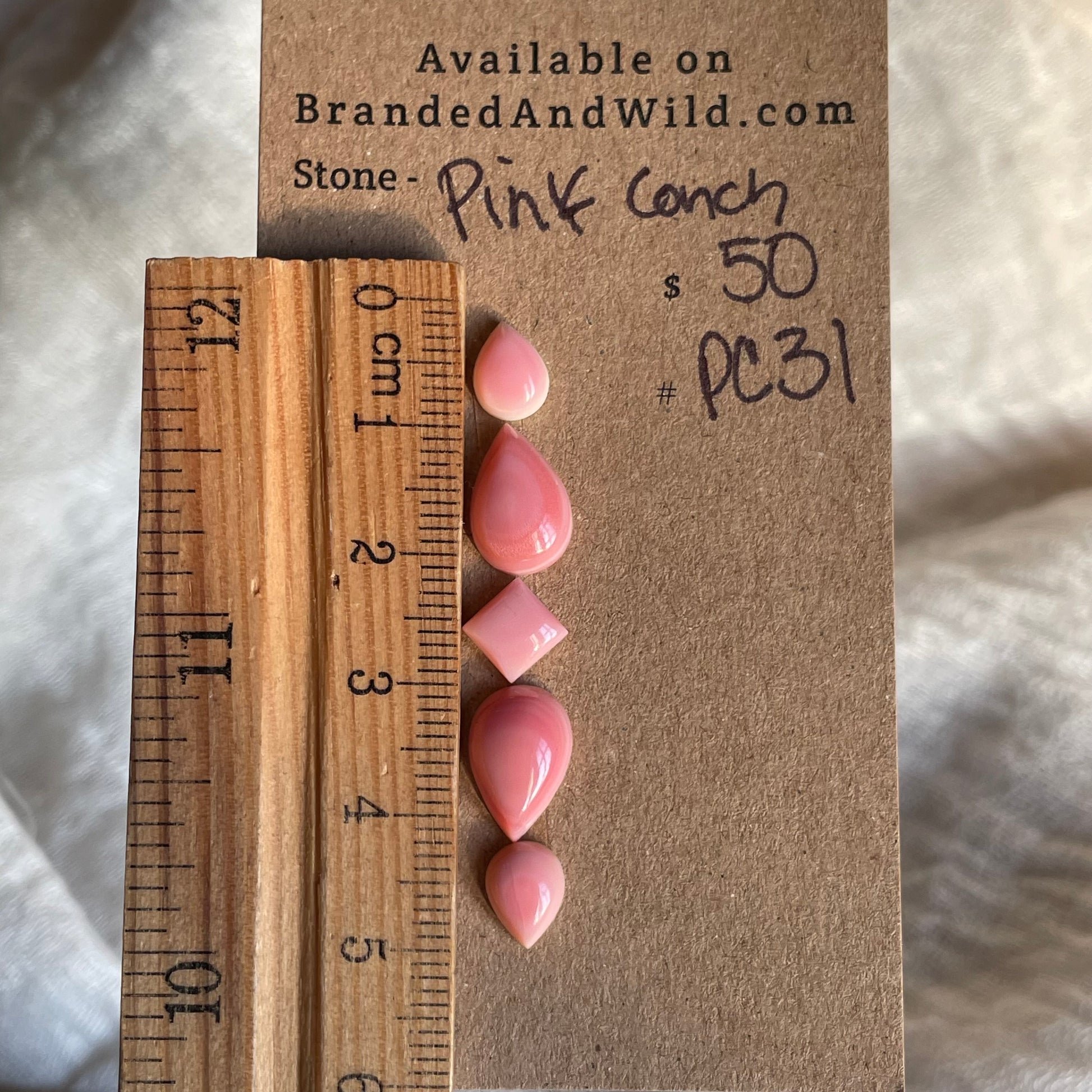 Pink Conch Cabochon - PC31 B44BC05A-BAC2-419D-B659-EEE45F6D2DBE Brandedandwild.com