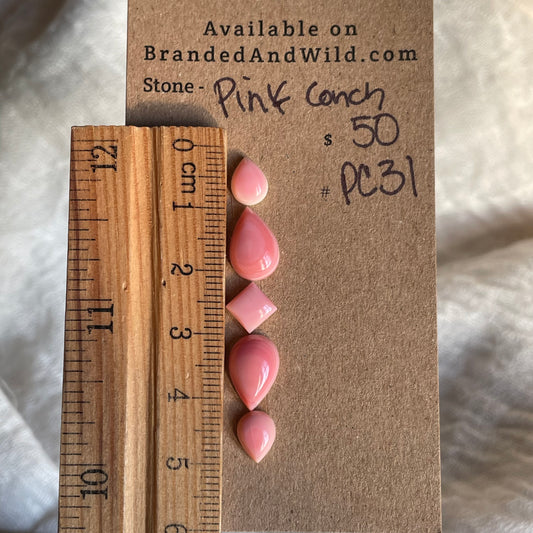 Pink Conch Cabochon - PC31 B44BC05A-BAC2-419D-B659-EEE45F6D2DBE Brandedandwild.com