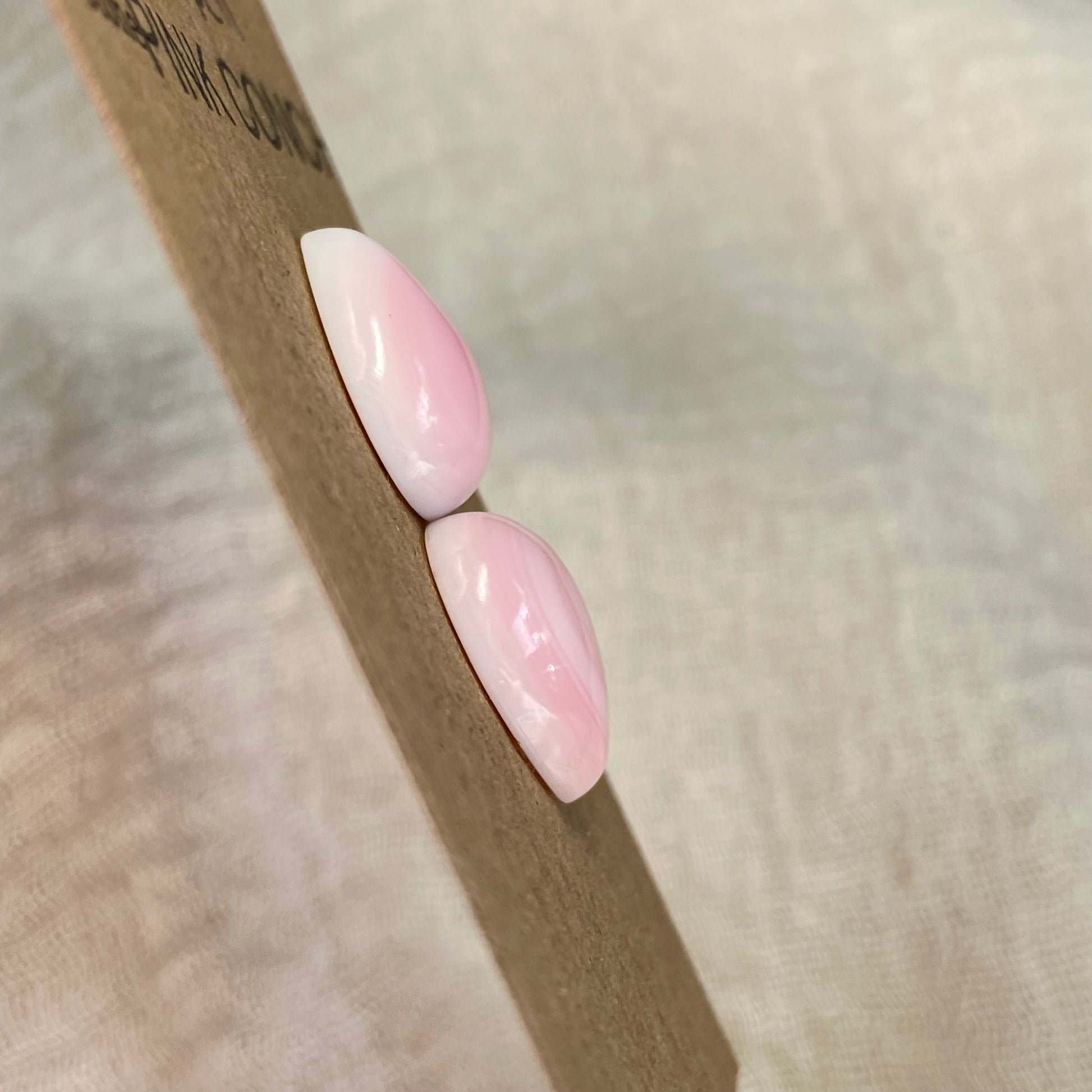 Pink Conch Cabochon - PC11 B45237EE-C7F2-462A-92AD-EC2F6B26D88F Brandedandwild.com