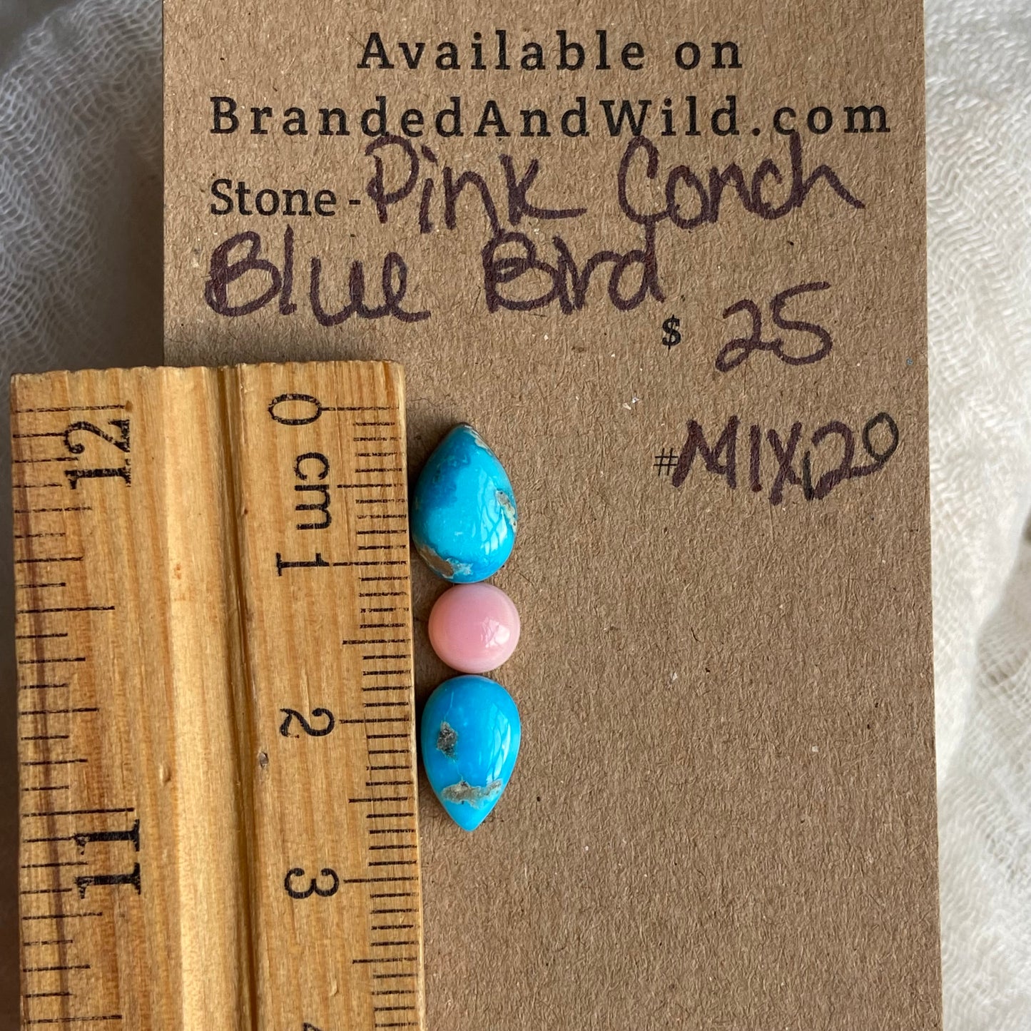 Blue Bird /  Pink Conch Cabochon - MIX120