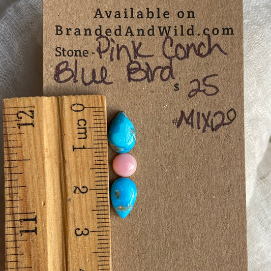 Blue Bird /  Pink Conch Cabochon - MIX120