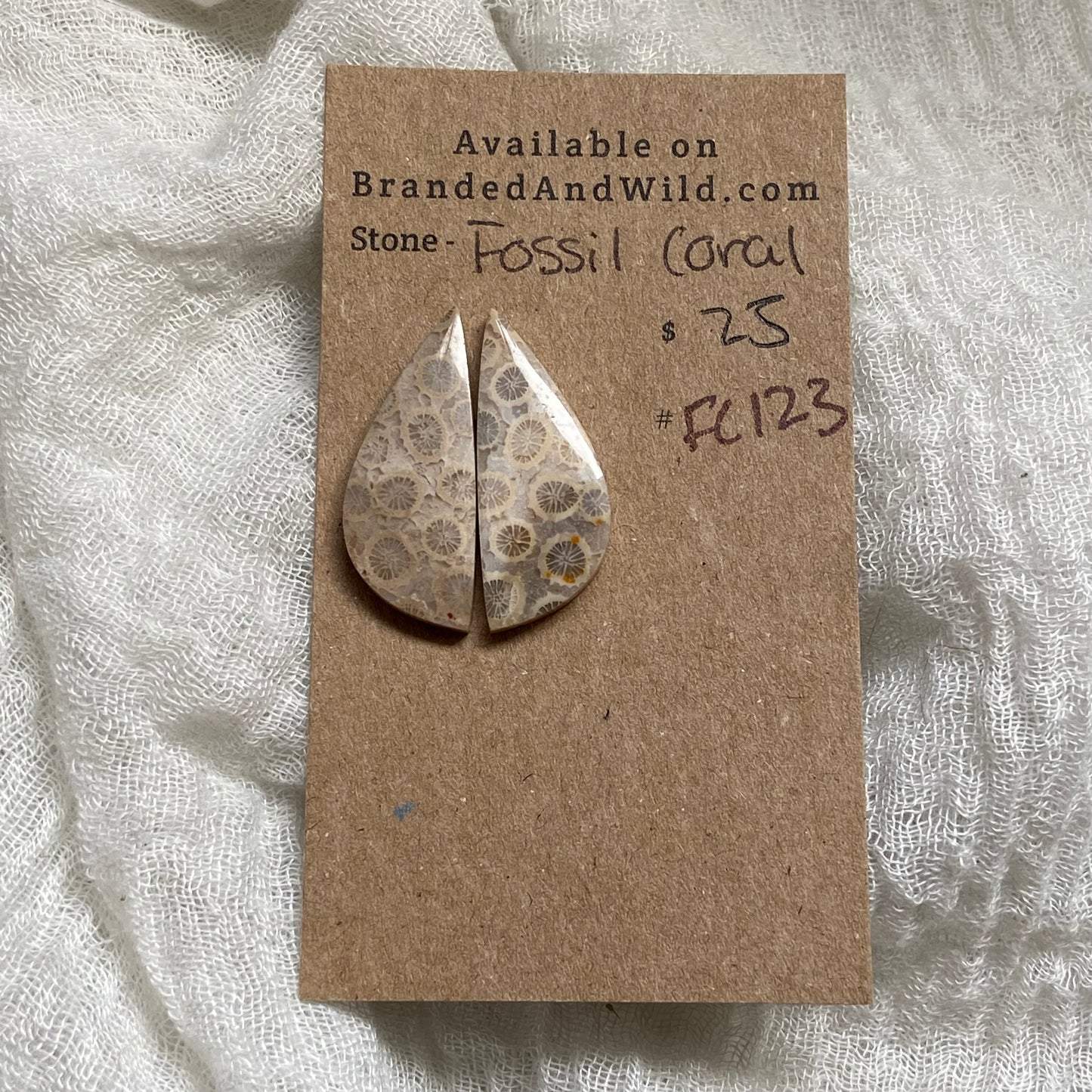 Fossil Coral Cabochon - FC123