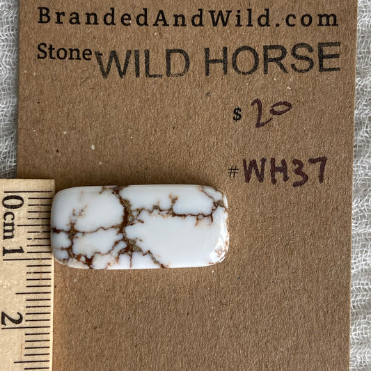 Wild Horse Cabochon - WH37