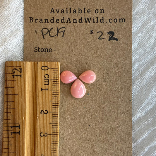 Pink Conch Cabochon - PC19