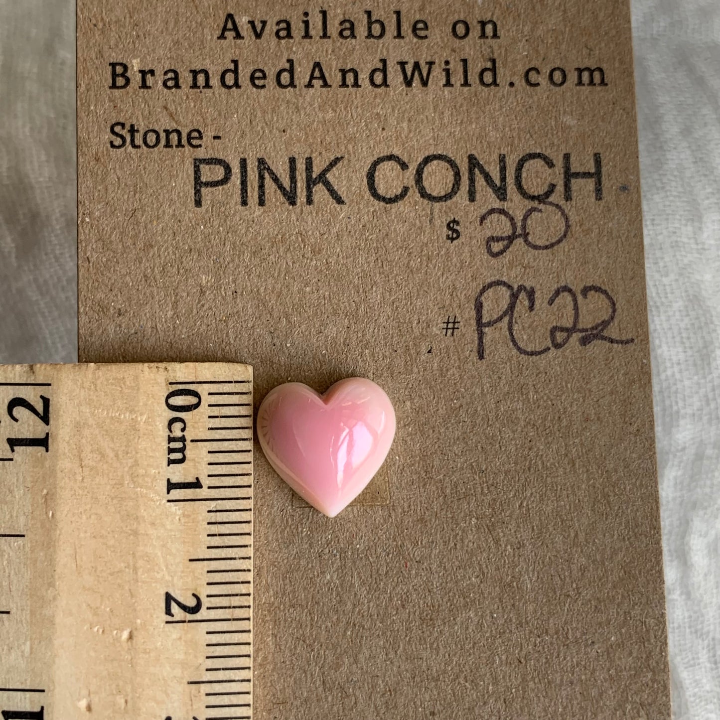 Pink Conch Cabochon - PC22