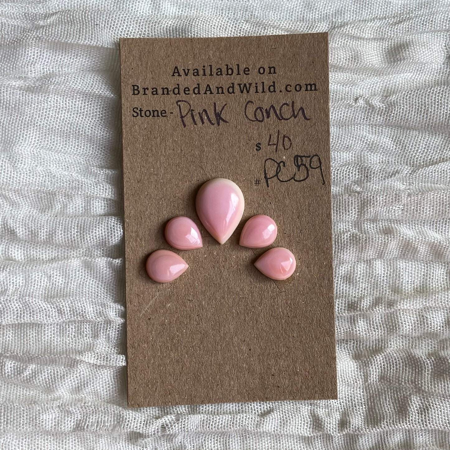 Pink Conch Cabochon - PC59 B4AB1C0D-937F-4740-8637-CF1608AB8AB6 Brandedandwild.com