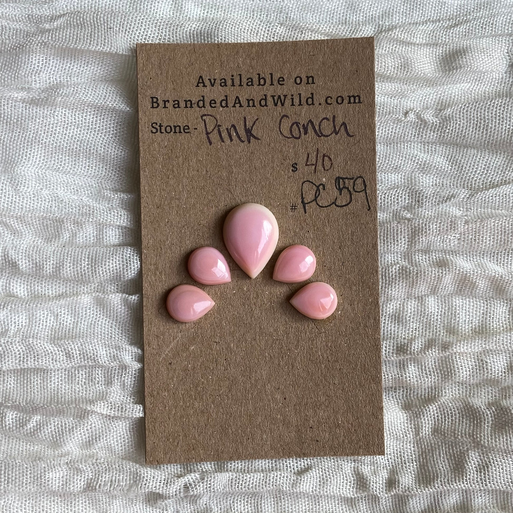 Pink Conch Cabochon - PC59 B4AB1C0D-937F-4740-8637-CF1608AB8AB6 Brandedandwild.com