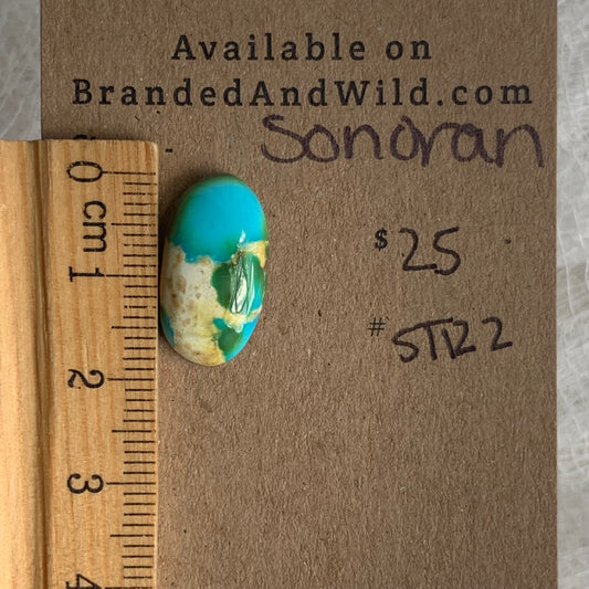 Sonoran Turquoise Cabochon - ST122