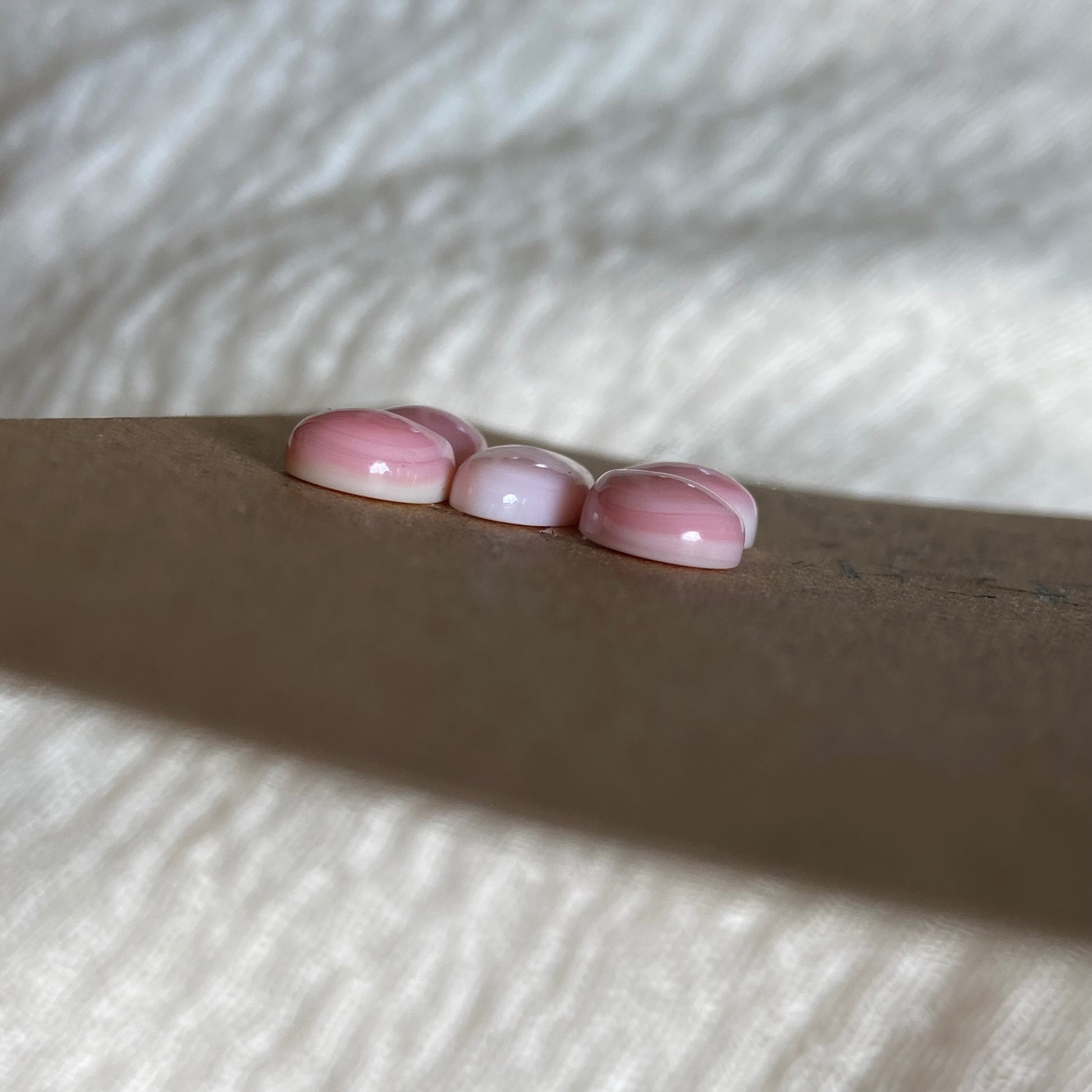 Pink Conch Cabochon - PC45 B4DFACB5-70F4-456B-B298-64DB38F73D47 Brandedandwild.com