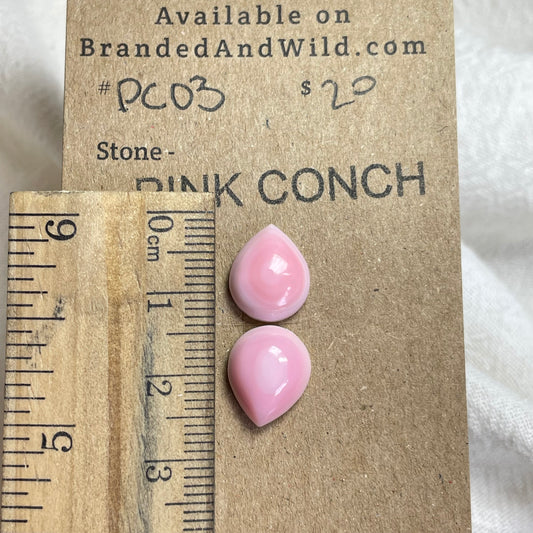 Pink Conch Cabochon - P003 B4FDC2A2-0F0D-47A0-9205-71769BB357CC Brandedandwild.com