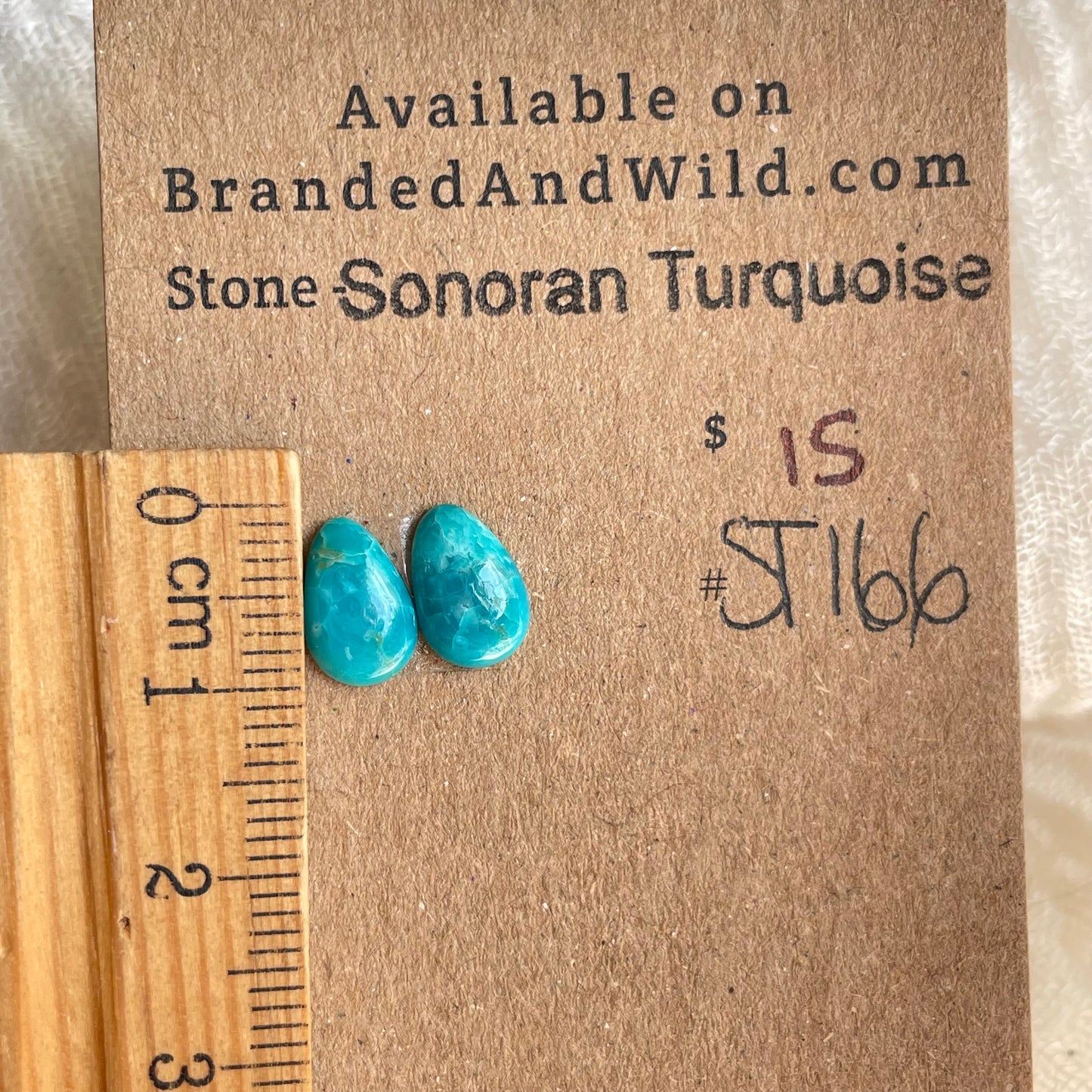 Sonoran Turquoise Cabochon - ST166 B50C13C1-1261-4A65-B0BF-B3E3EDF382E5 Brandedandwild.com