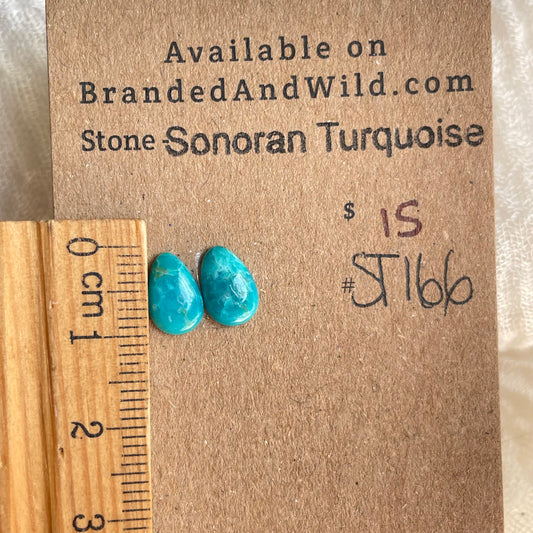 Sonoran Turquoise Cabochon - ST166 B50C13C1-1261-4A65-B0BF-B3E3EDF382E5 Brandedandwild.com