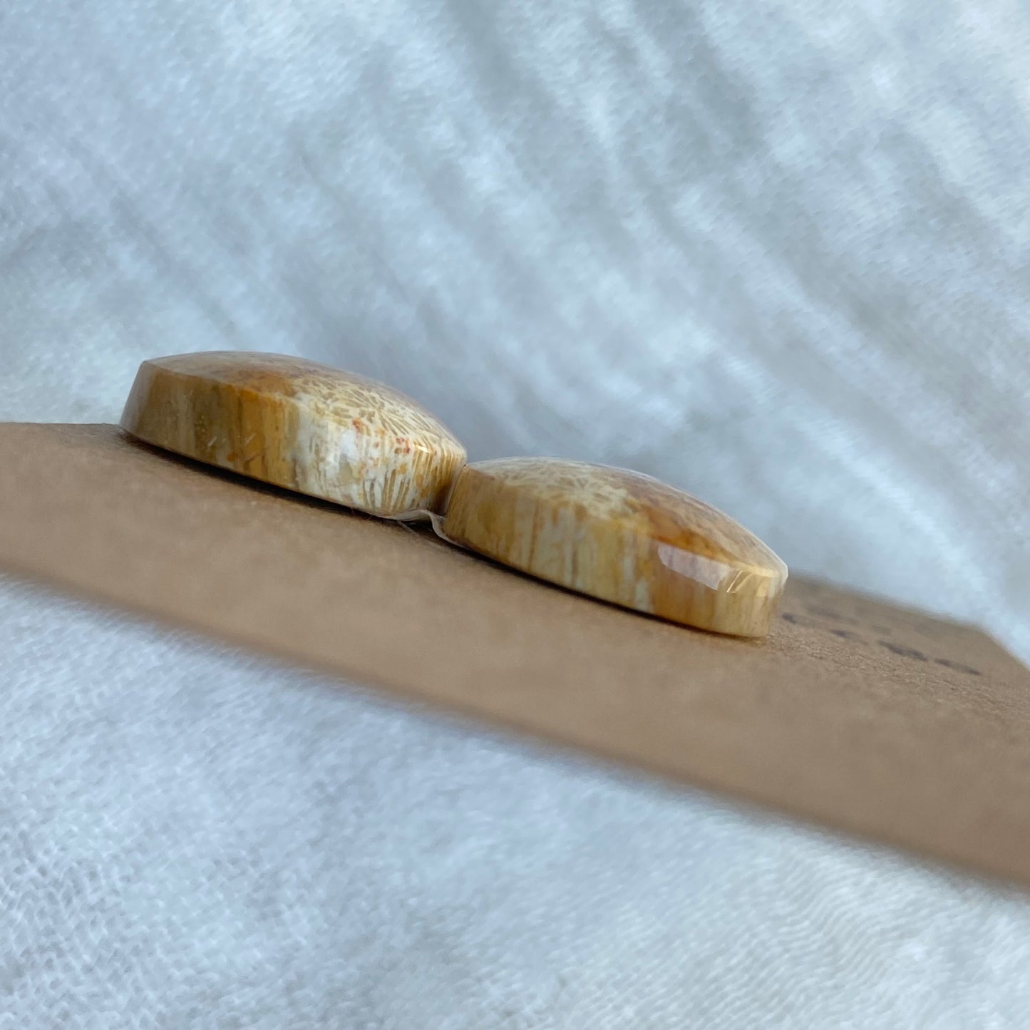 Fossil Coral Cabochon - FC80