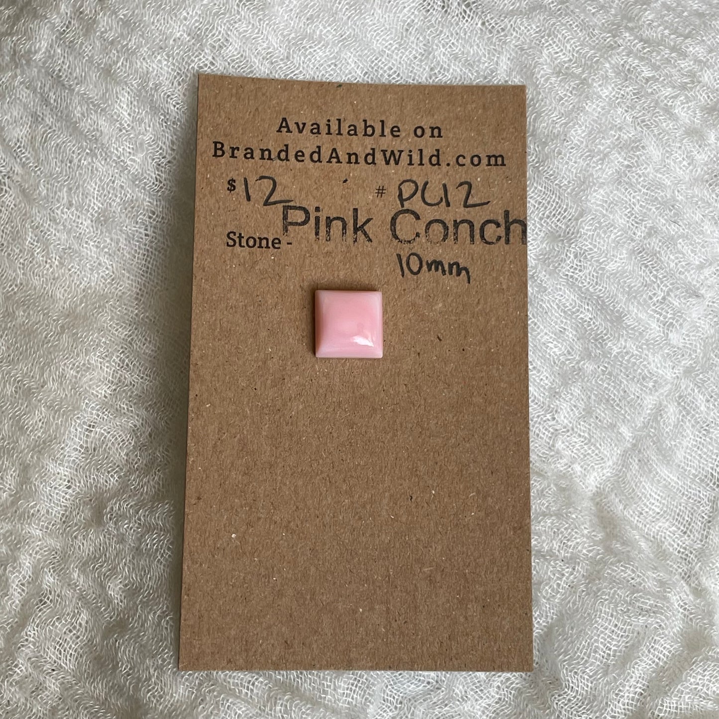 Pink Conch Cabochon - PC12