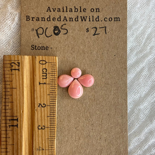 Pink Conch Cabochon - PC05