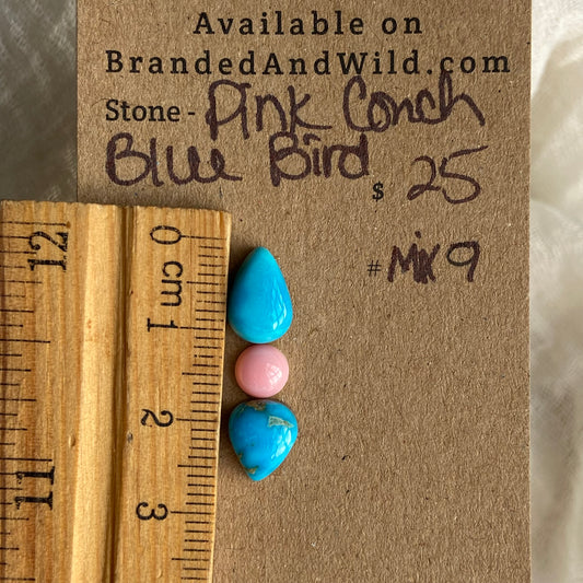 Blue Bird /  Pink Conch Cabochon - MIX9