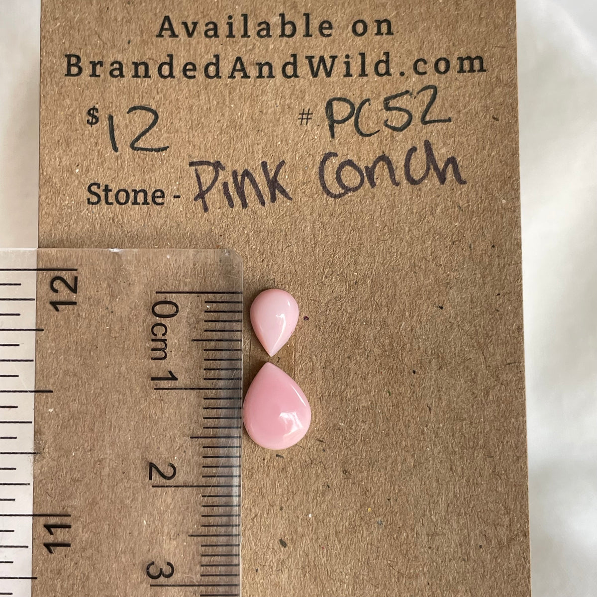 Pink Conch Cabochon - PC52 B585C8A2-C5D2-4D67-A33D-761F912DDB3D Brandedandwild.com