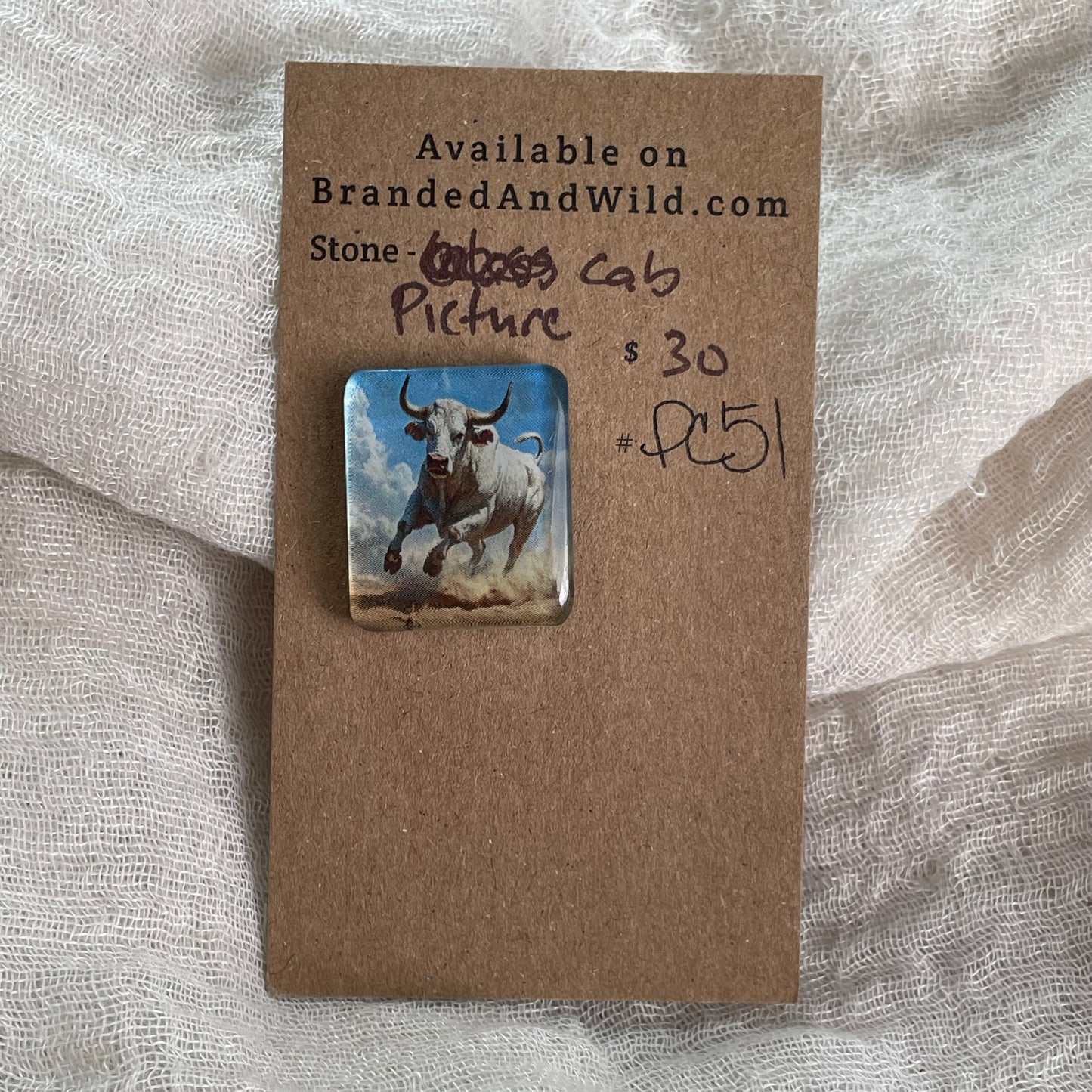Picture Cabochon - Cabochon - PC51 B59E1A37-27D1-4D1D-BD47-66E800A2CD91 Brandedandwild.com