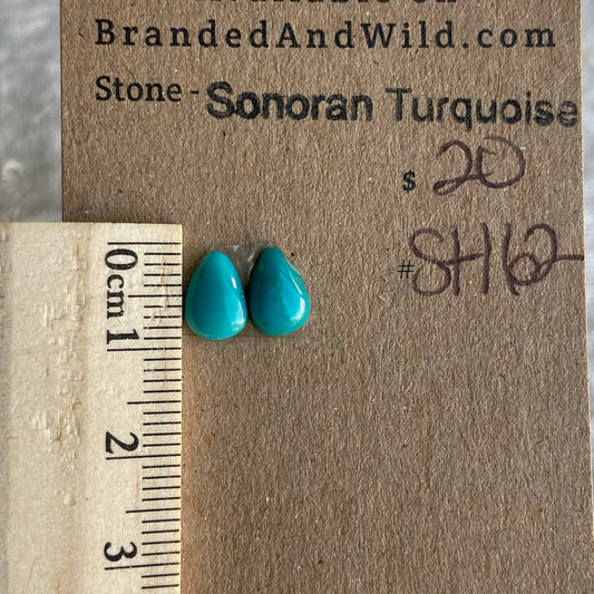 Sonoran Turquoise Cabochon - ST162