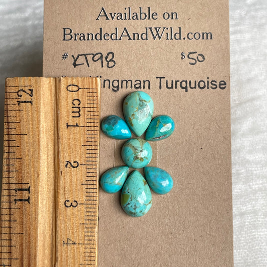 Kingman Turquoise Cabochon - KT98 B5C12C0F-58CA-4002-B1DC-87BD46E3EC8B Brandedandwild.com
