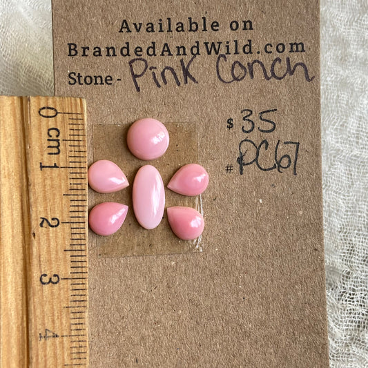 Pink Conch Cabochon - PC67 B5C3723C-B13A-4D4E-ADD2-EDFAD7E9878B Brandedandwild.com
