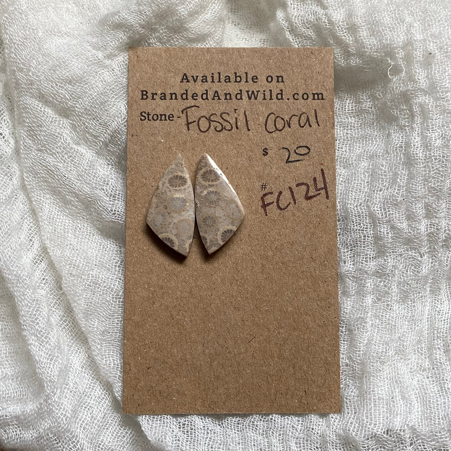 Fossil Coral Cabochon - FC124