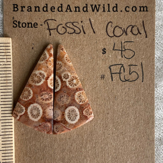 Fossil Coral Cabochon - FC51