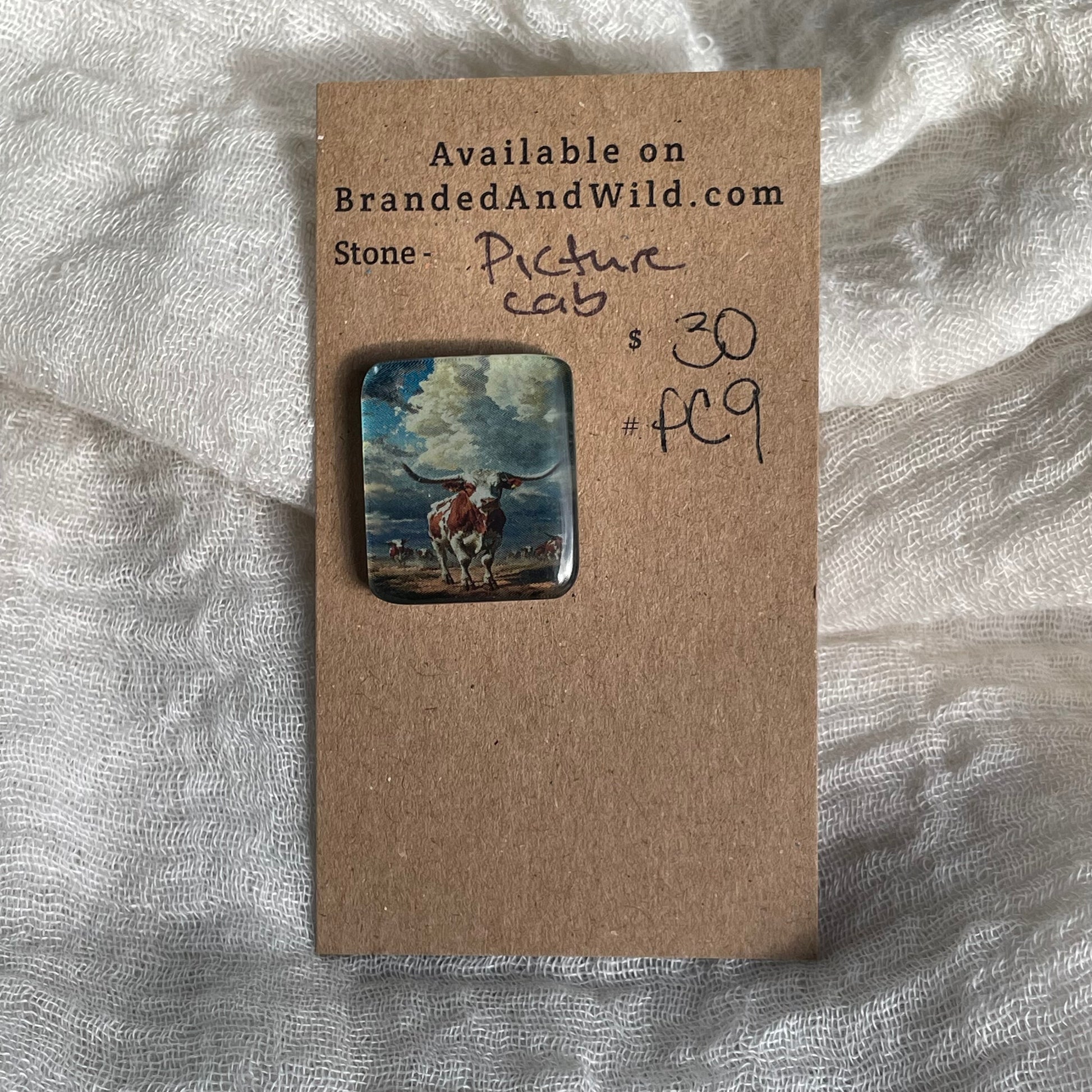 Picture Cabochon - Cabochon - PC9 B5FFD597-14B0-4C9A-94C2-08F6B6A077E7 Brandedandwild.com