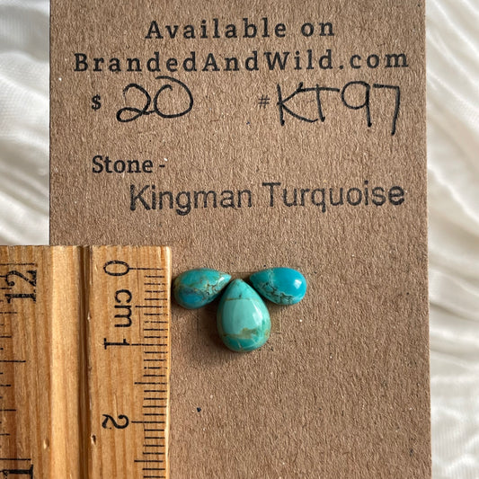 Kingman Turquoise Cabochon - KT97 B6075293-3906-45ED-A4F2-A9D384BBD143 Brandedandwild.com