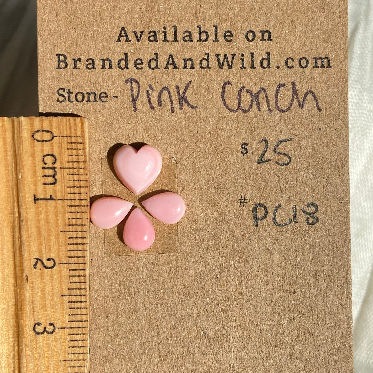 Pink Conch Cabochon - PC18 B630750B-2B76-417E-97E4-D07077842AA5 Brandedandwild.com