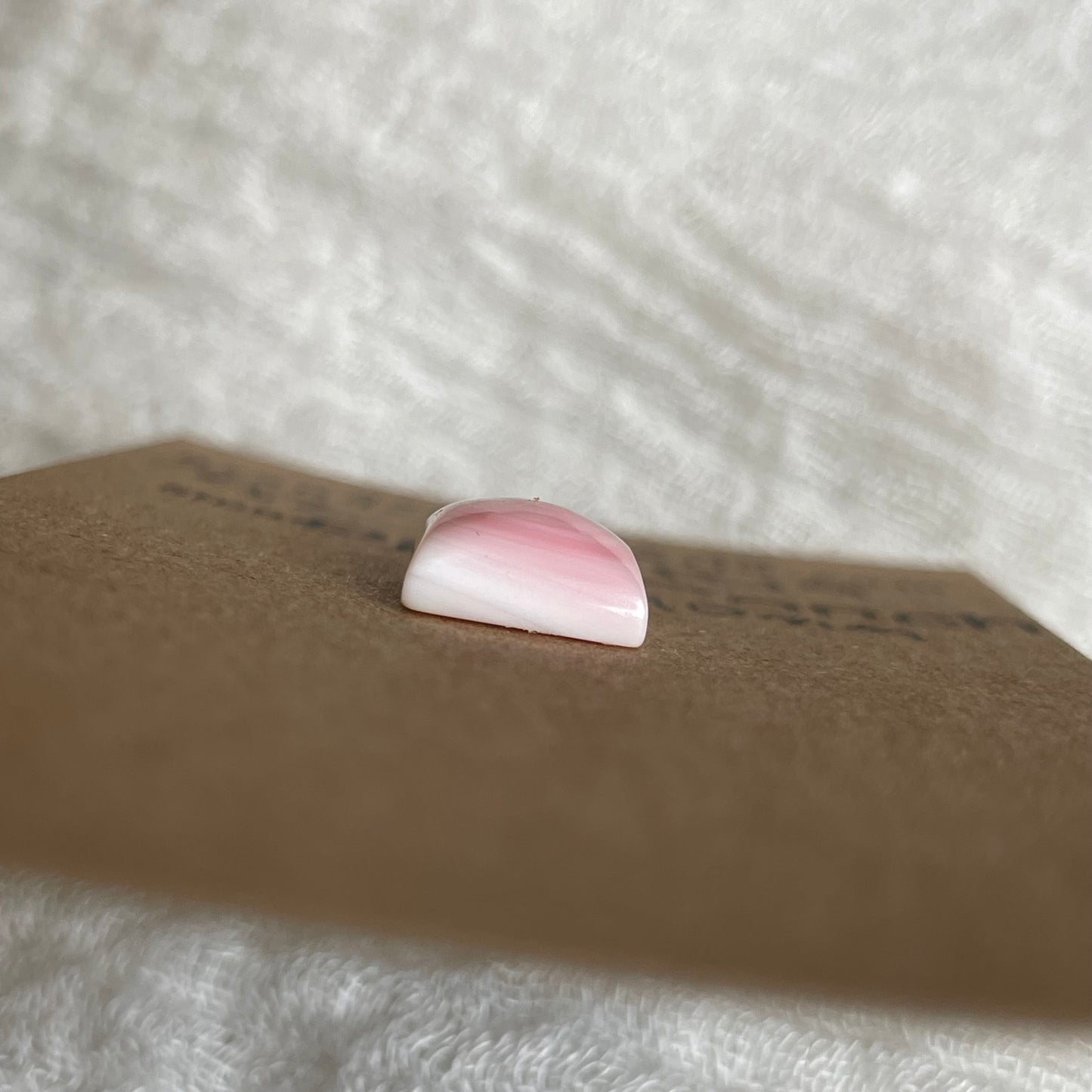Pink Conch Cabochon - PC19