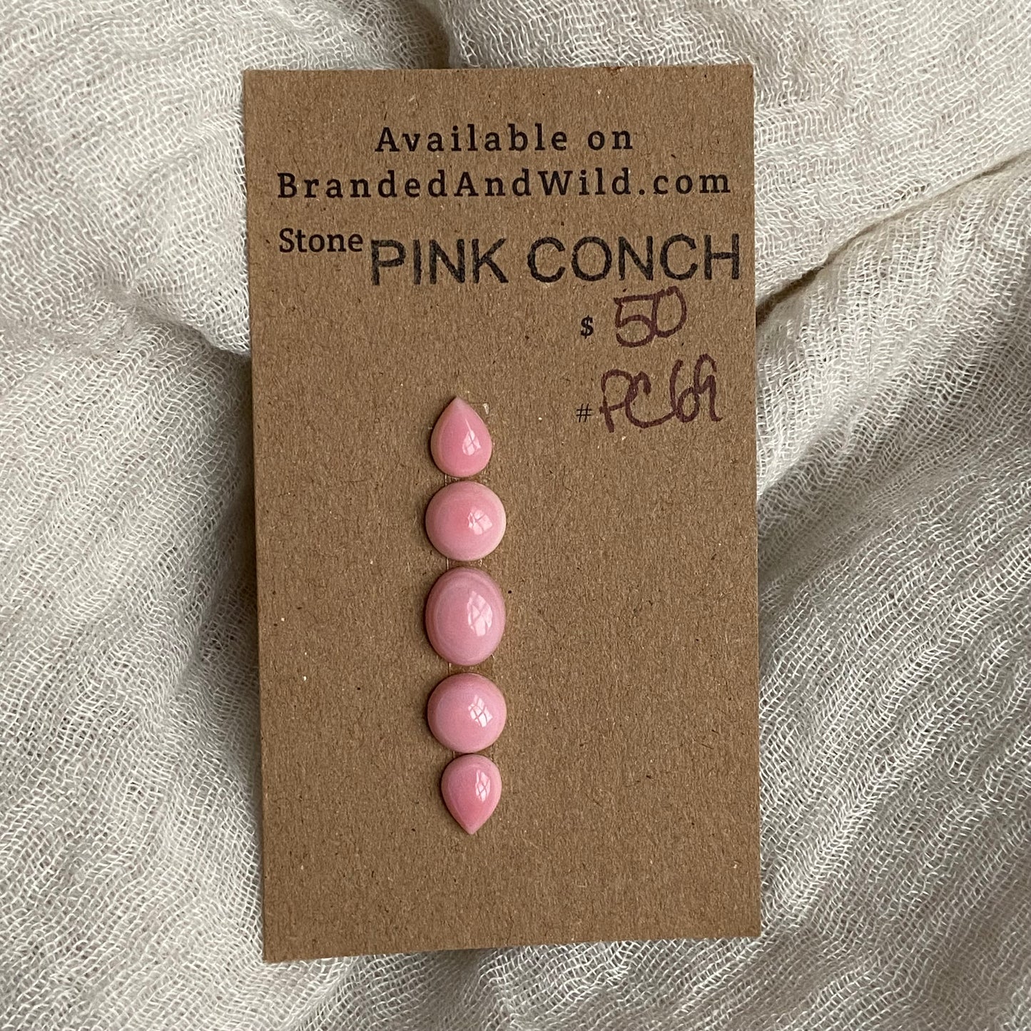 Pink Conch Cabochon - PC69