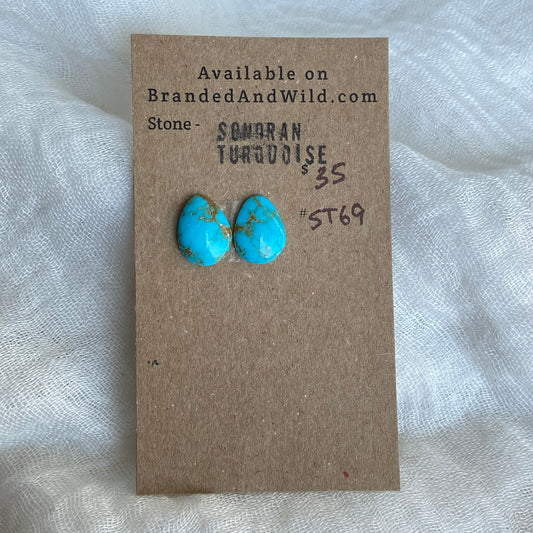 Sonoran Turquoise Cabochon - ST69