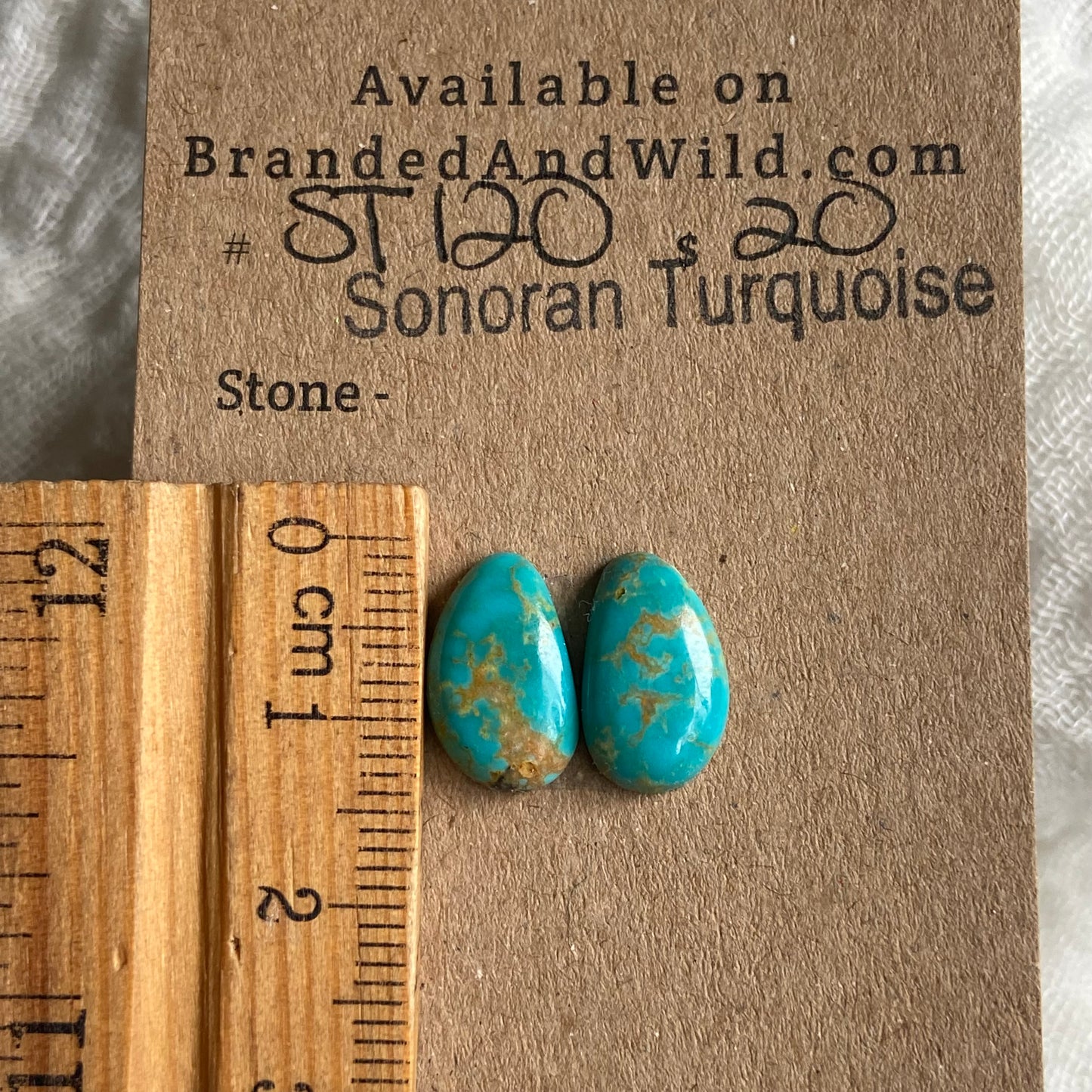 Sonoran Turquoise Cabochon - ST120