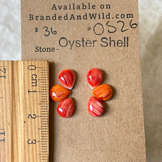 Oystershell Cabochon - OS26 B7080560-D272-4C5A-A938-D879FE334636 Brandedandwild.com