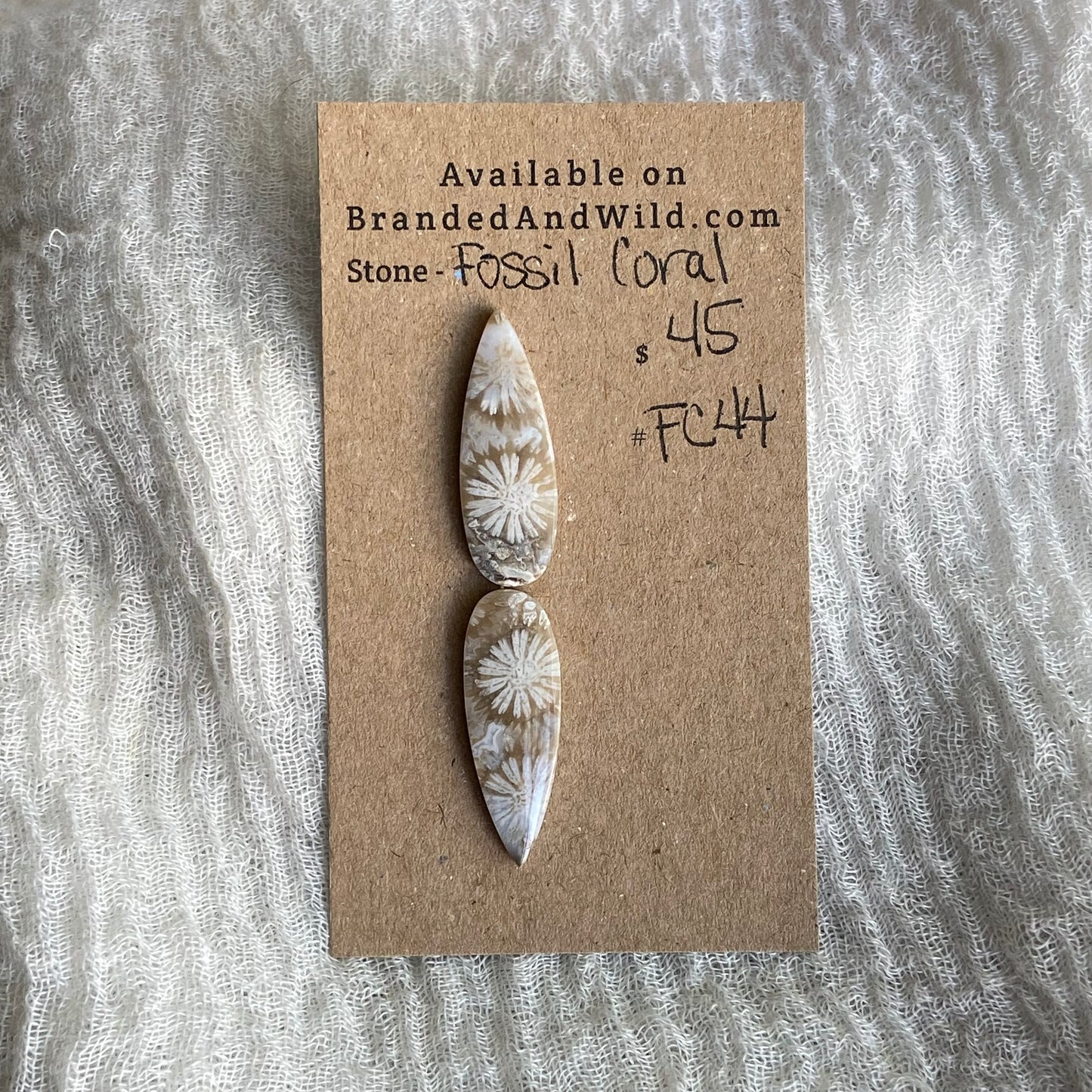 Fossil Coral Cabochon - FC44