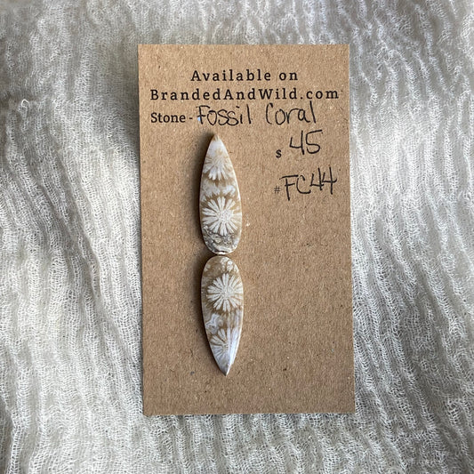 Fossil Coral Cabochon - FC44