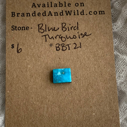 Blue Bird Turquoise Cabochon - BBT21