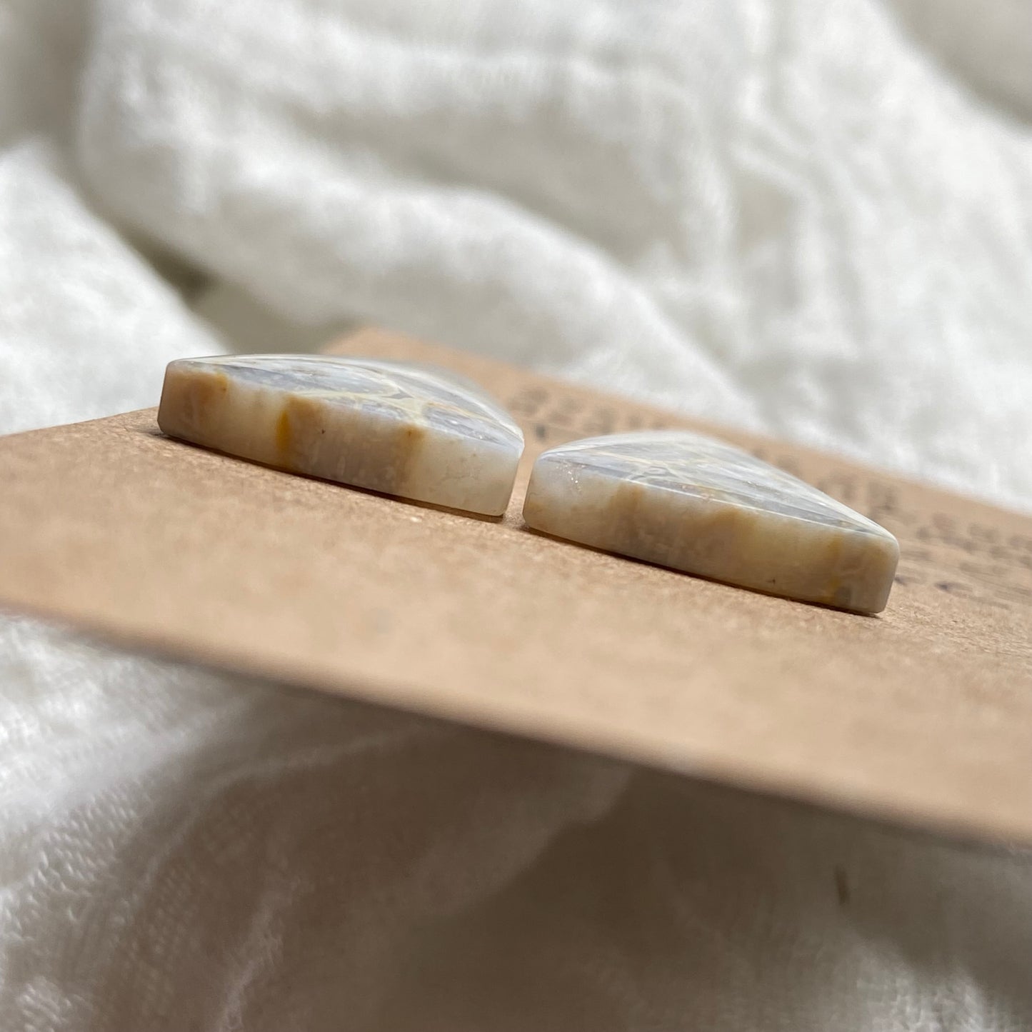 Fossil Coral Cabochon - FC78