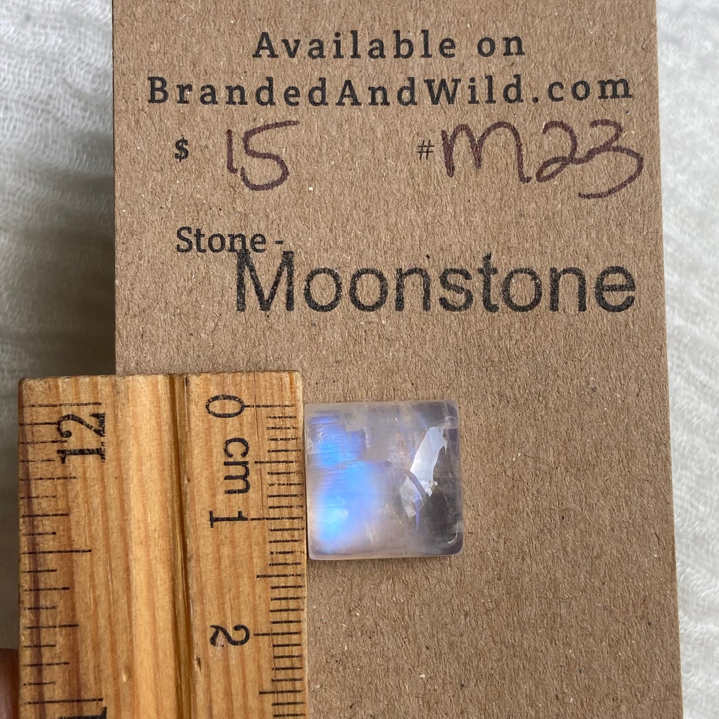 Moonstone Cabochon - M23