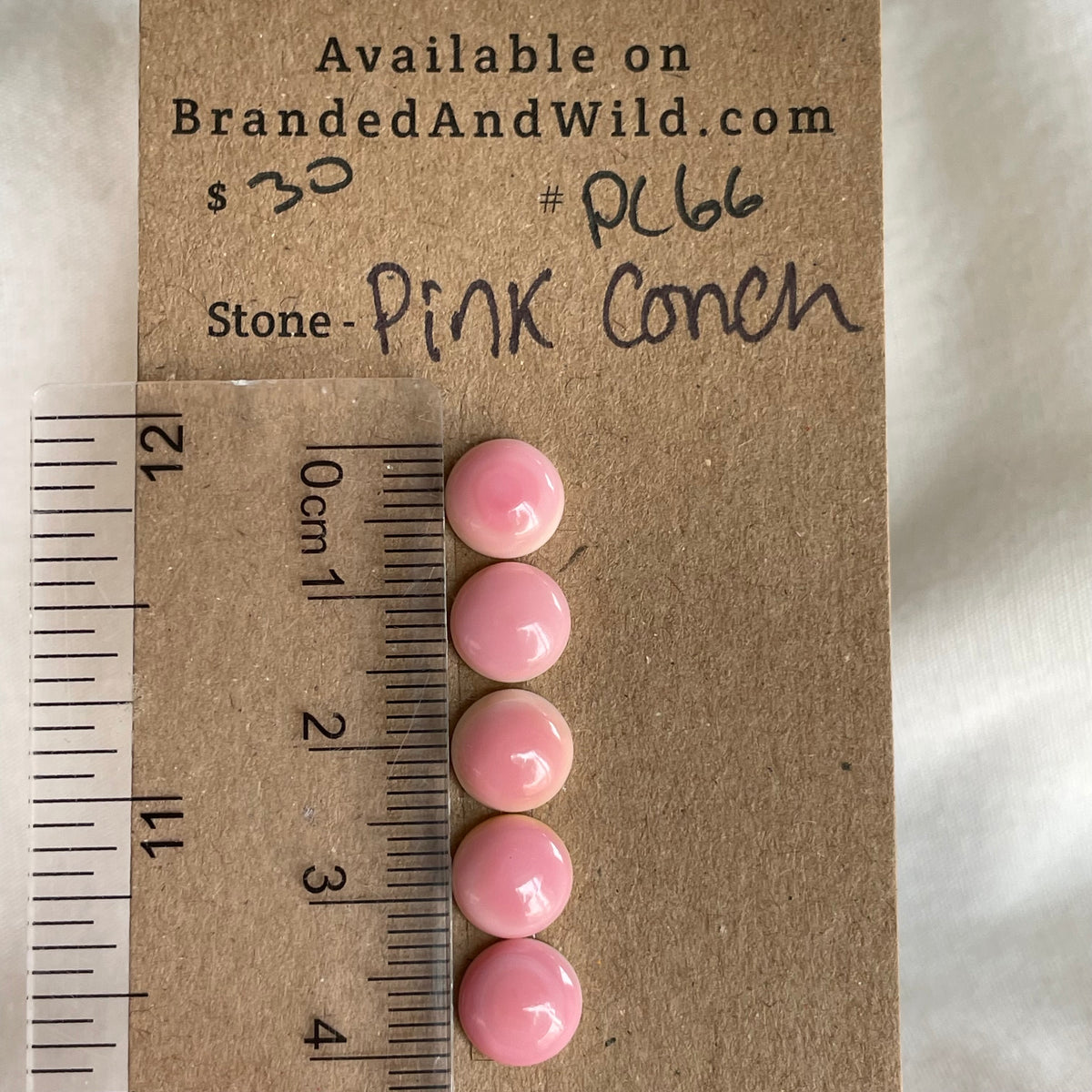 Pink Conch Cabochon - PC66 B76D18FE-C53B-49BA-8BBF-45656658A847 Brandedandwild.com