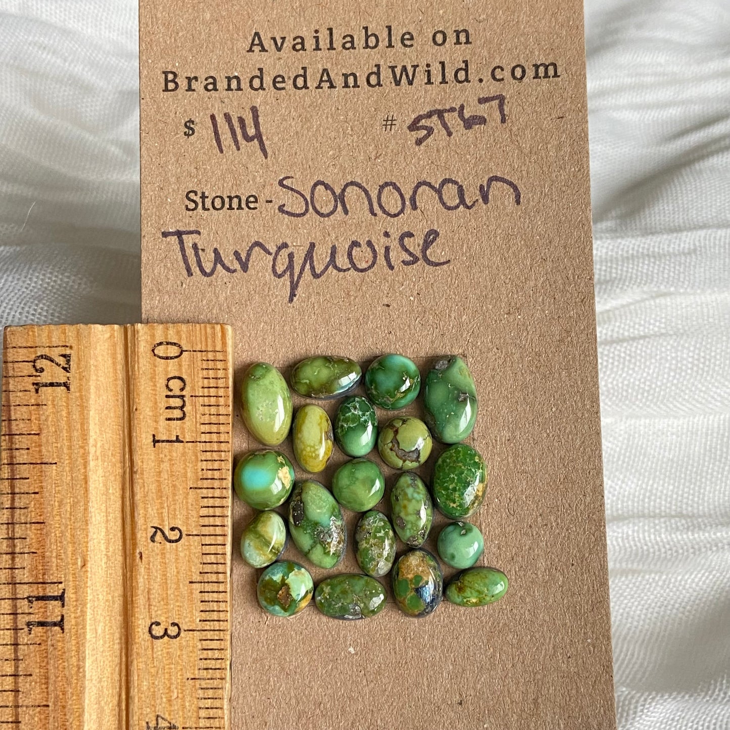 Sonoran Turquoise Cabochon - ST67 B774ECE0-8ECD-45E7-9571-5F5E3C8207CC Brandedandwild.com