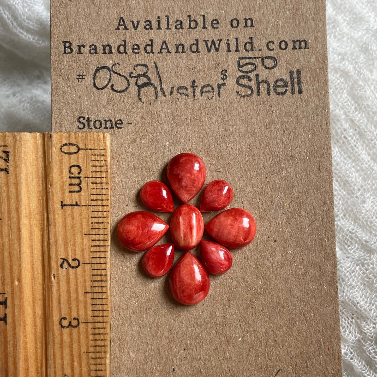 Oyster Shell Cabochon - OS81