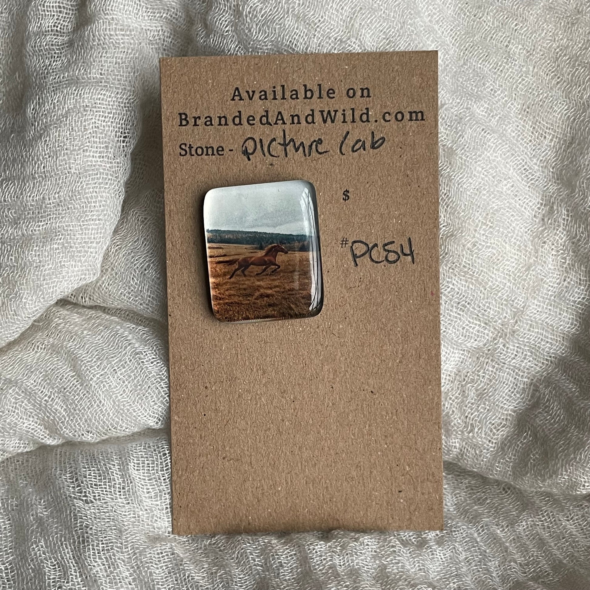 Picture Cabochon - Cabochon - PC54 B78B4964-EB03-471F-88A6-8CEF16919D57 Brandedandwild.com