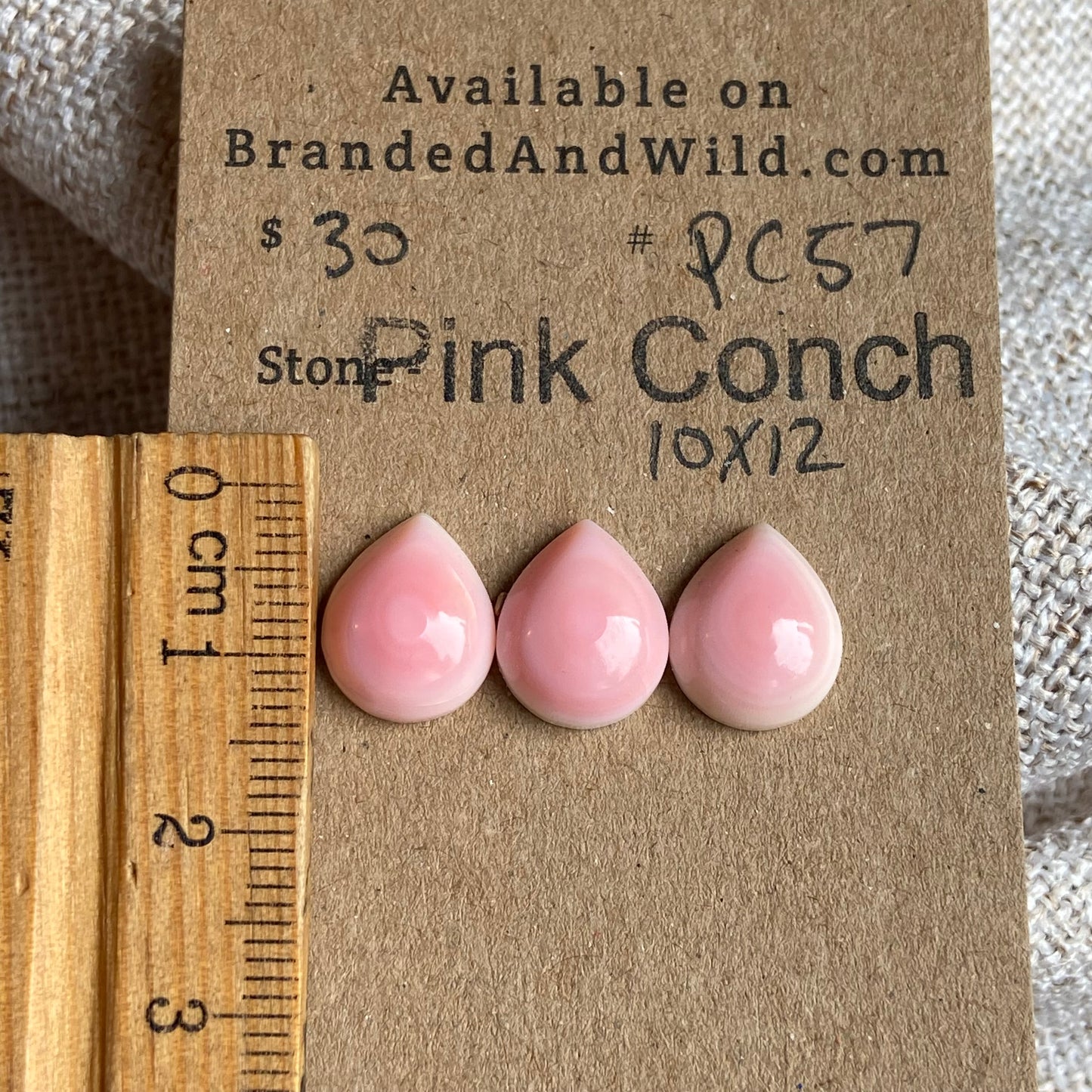 Pink Conch Cabochon - PC57 B791809B-1B84-46DE-8AEC-A796F0599439 Brandedandwild.com